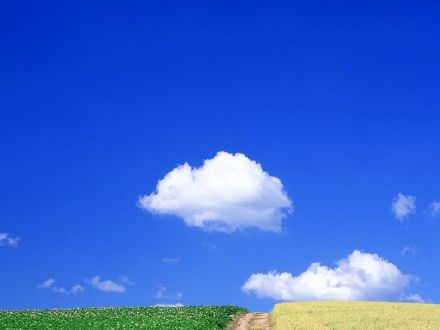 自制鹅卵石拼bob真人接假山(小石头拼接假山)